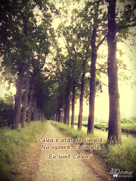 calea